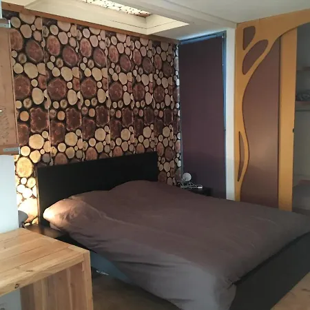 Vakantiehuis Met Verwarmd Prive Zwembad, Jacuzzi En Sauna * Gaanderen